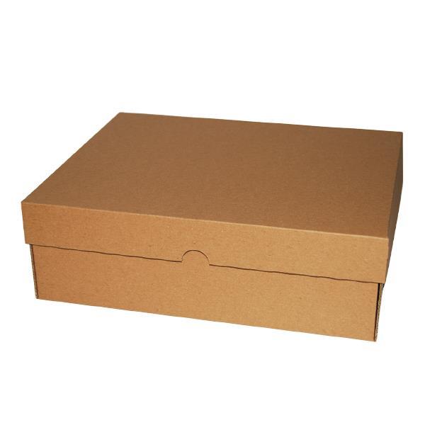 Next κουτί κραφτ Υ10x31x25εκ. Α4+