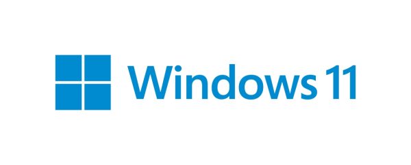 MICROSOFT Windows Pro 11